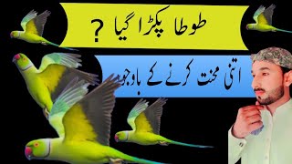 is Dukh ko bird lover hi samajh sakta hai / urdu Hindi