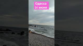 Одесса 14 июня 2024 . Море