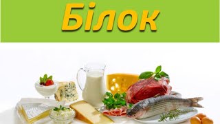 Білок - основа здоров'я та краси. Тваринний та рослинний білок. Добова норма білку та як її добрати.