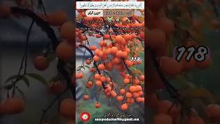 سورہ نساء کی آیات 132 تا 135 کا ترجمہ 118# اپنی زندگی میں عملی طور پر قرآنی تعلیمات سے استفادہ کریں۔