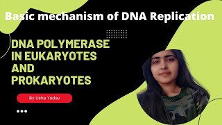 DNA polymerase in Eukaryotes and Prokaryotes || DNA Replication || Usha Yadav || #CSIR