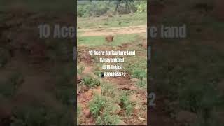 10 Acers Agriculture land for 16 lakhs #narayankhed #sangareddy #agriculturelandforsale #agriculture