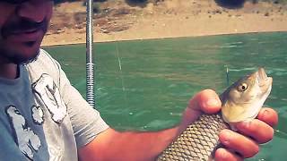 Mavrovski..KLEN.. .Oki ribar. Chub fishing