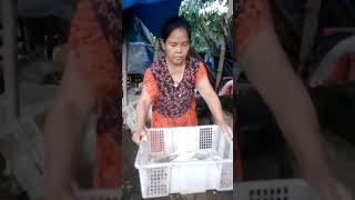 NENEK CUCI IKAN BANYAK BUAT LAUK MAKAN #shorts #nostalgia #hanyauntukmu #ikan