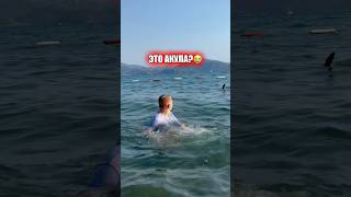 АКУЛА😰#lifestyle #likee #а4 #tiktok #популярное  #юмор #comedyvideos #funnyshorts #тренды #shorts