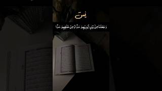 Al Quran || Surah Yasin #quran #tillawat #verse #video #trending #shorts #reels #yasin