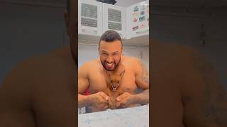 Pose mais musculoso #shorts #reels #dog #funny