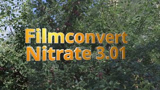 Test Filmconvert Nitrate 3 01 Canon C100 MK II CLog footages