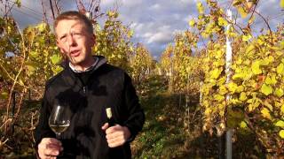 Alsace Grand Cru Marckrain