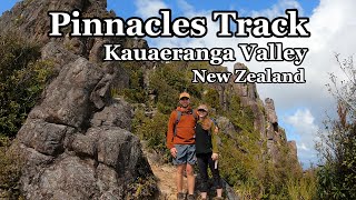 The Pinnacles | Hiking in New Zealand | Kauaeranga Valley Kauri Track