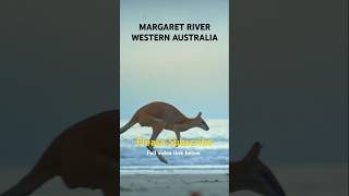 Margaret River: A Paradise for Wine, Waves and Kangaroos