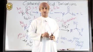 Nucleophilic Addition Versus Nucleophilic Acyl Substitution