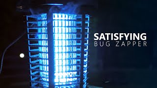 Bug Zapper Owning Bugs Like a Boss / GOOTOP Bug Zapper