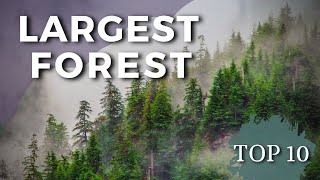 TOP 10 LARGEST NATURAL FORESTS IN THE WORLD | TOKYBOOK TOP 10 AMAZING