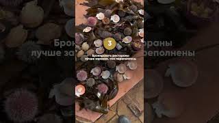 Разверни описание  #природа #short #shorts #путешественник