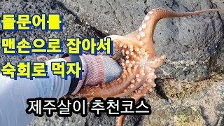 제주살이 추천코스 제주도해루질한 문어로 문어숙회 만들어먹기 문어잡는법 문어미끼 @homerun_farm