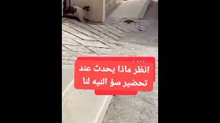 انظر ماذا يحدث عند تحضير سر النيه لنا