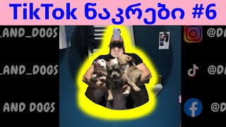 TikTok ნაკრები #6 - ახალი ტიკტოკები @DavidAndDogs