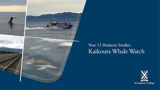 StAC: Year 13 Business Studies | Whale Watch