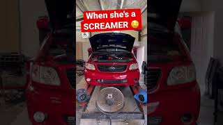 Built Ford SVT Lightning Dyno Pull ⚡️ that supercharger whine though! 🤘😁