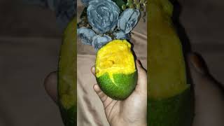 Mangga #mango #makansehat #delicious #juice #buahsegar #buah #fypシ゚viral #fyp #makanterus #makanbuah