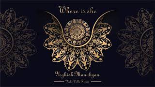 Yeghish Manukyan - Where is she [ Niko villa remix]