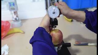 Fruit hardness tester + stand operation