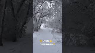 Самый холодный город в мире Якутск 09.09.23 coldest city in the world Yakutsk