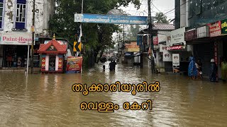 തൃക്കാരിയൂരിൽ വെള്ളം കേറി🏊