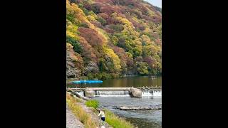 Top Place to visit in Japan Beautiful town near bamboo forest (du lịch Nhật Bản) #japan #kyoto