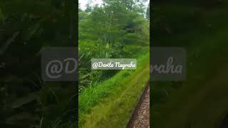 DETIK DETIK KERETA CIKURAY MELINTASI JEMBATAN#keretaapi #shortvideo