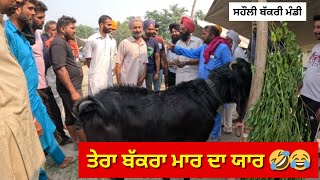 ਬੰਦਿਆਂ ਨੂੰ ਟੱਕਰਾ ਮਾਰ ਦਾ ਬੱਕਰਾ 🤣😂 ਦੇਖੋ #live_sauda ਸਹੌਲੀ ਬੱਕਰੀ ਮੰਡੀ