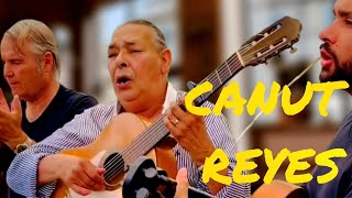 Canut Reyes (gipsy kings) Chiribi * live *