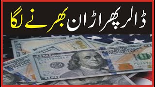 The dollar began to fly again | Breaking News | Voice Today News