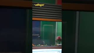 "বেলিফুল "Guitar recording time for this Assamese Romantic Song at Sun Studio||Neel||Santanu Kaushik