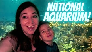 National Aquarium in Baltimore