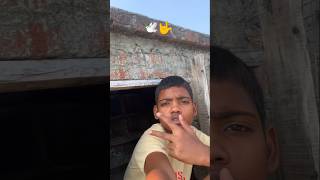 🕊️🤟 subscribe #trending #kabutar #shorts #ytshorts #pigeon #kabootar #video