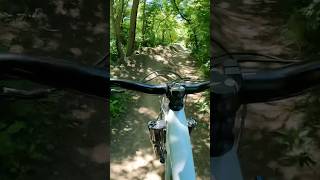 Dirt jumps on Specialized Enduro MTB #mountainbikejumps #shortvideo #mtb #mtbjumps #jump #djs #jumps