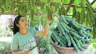 Have you ever seen or cooked this beans before? - Yummy big green bean recipe - Cooking with Sreypov