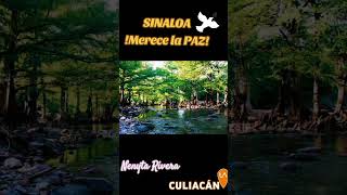 Sinaloa merece la paz 🕊️