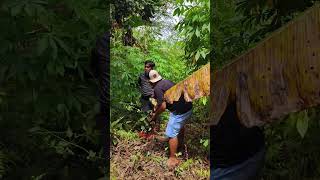 paket kebun yang menginspirasi