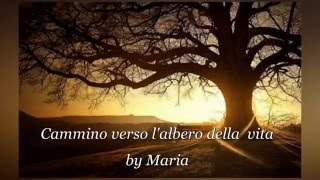 Cammino verso l'albero della vita