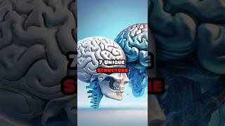 Most amazing facts about human Brain 🧠 part 2