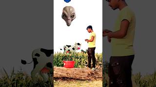 Running alien head- shoot to cat, cow, horse & dog new game magical #trending #alien