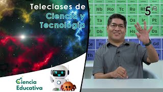 Big Bang | Teleclases C y T 5° Grado