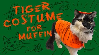 Easy Cat Costume : Tiger - Crafting With Cocktails