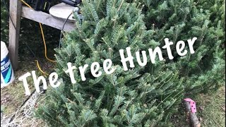 The tree Hunter , Christmas tree 🎄