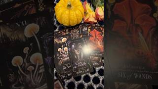 Сообщение высших сил для вас #таро #tarot