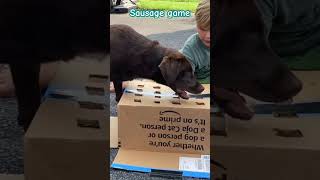 #SausageGame #Sausage sausage game gone horribly wrong, ate all the sausages wait till the end ￼