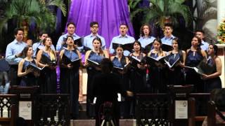 "O Sacrum Convivium" (Hilarión Eslava) - Coro de Cámara Universidad de Medellín